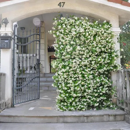 Apartmaji Stamcar *